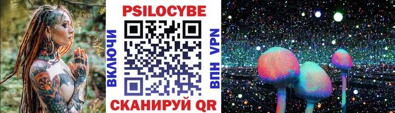 где купить наркоту Луза Псилоцибиновые грибы мицелий